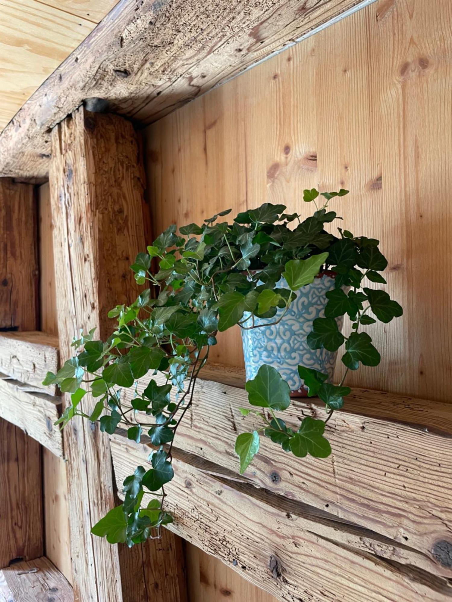 Schoene In Duerbheim * Durbheim